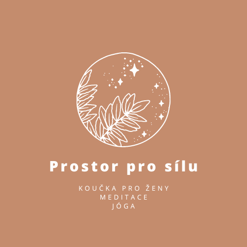 Prostor pro sílu